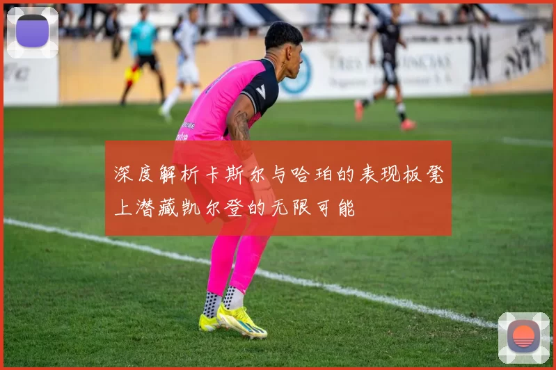 深度解析卡斯尔与哈珀的表现板凳上潜藏凯尔登的无限可能